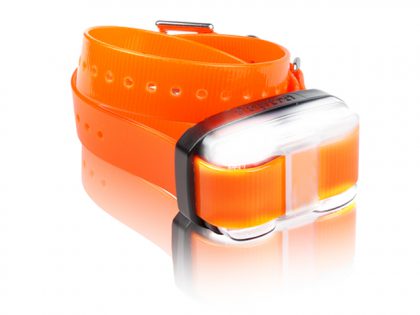 Dogtra Edge extra Halsband oranje-0