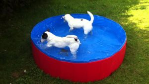 Doggy Pool Karlie 80 x 20cm-0
