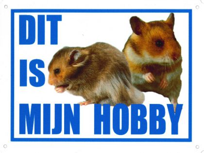 hobby bord hamsters