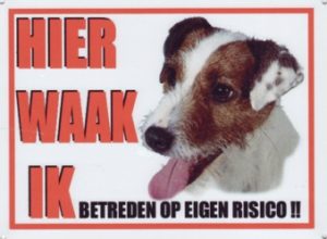 Waakbord Jack Russell ruwharig-0