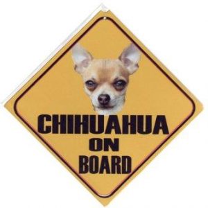 chihuahua korthaar autobord