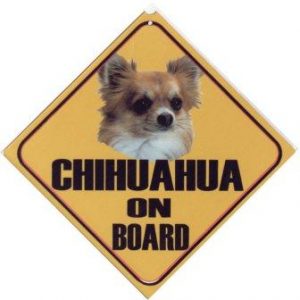 chihuahua langhaar autobord