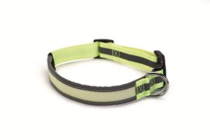 Glow-in-the-dark veiligheidshalsband M-7220