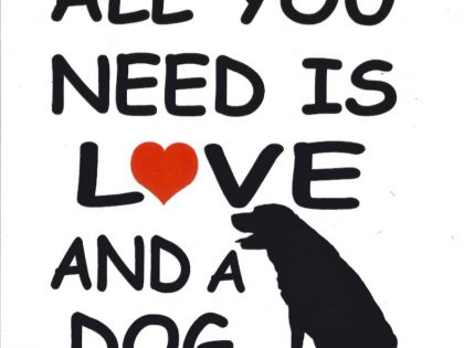 all you need is love and a dog wit
