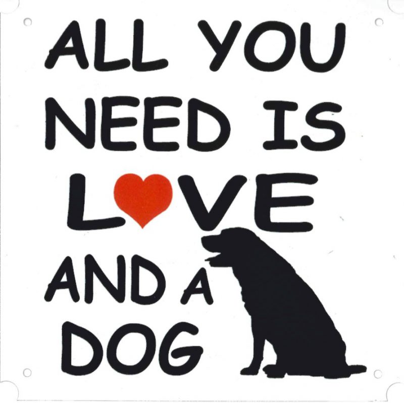 all you need is love and a dog wit