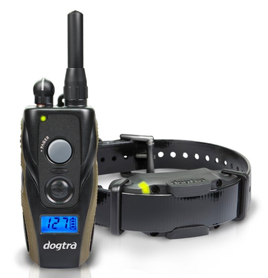 Dogtra arc on sale