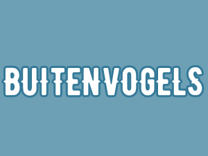 Buitenvogels