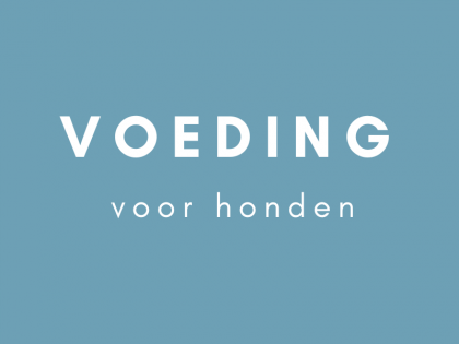 Hondenvoeding