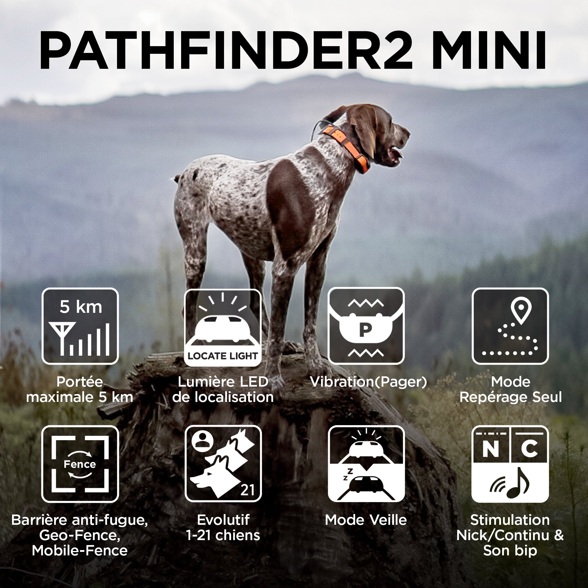 PATHFINDER2-MINI-AMAZON-Detail_pictogram-2000X2000px